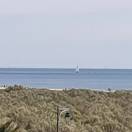 Pelicanos Daire