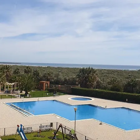 Pelicanos *